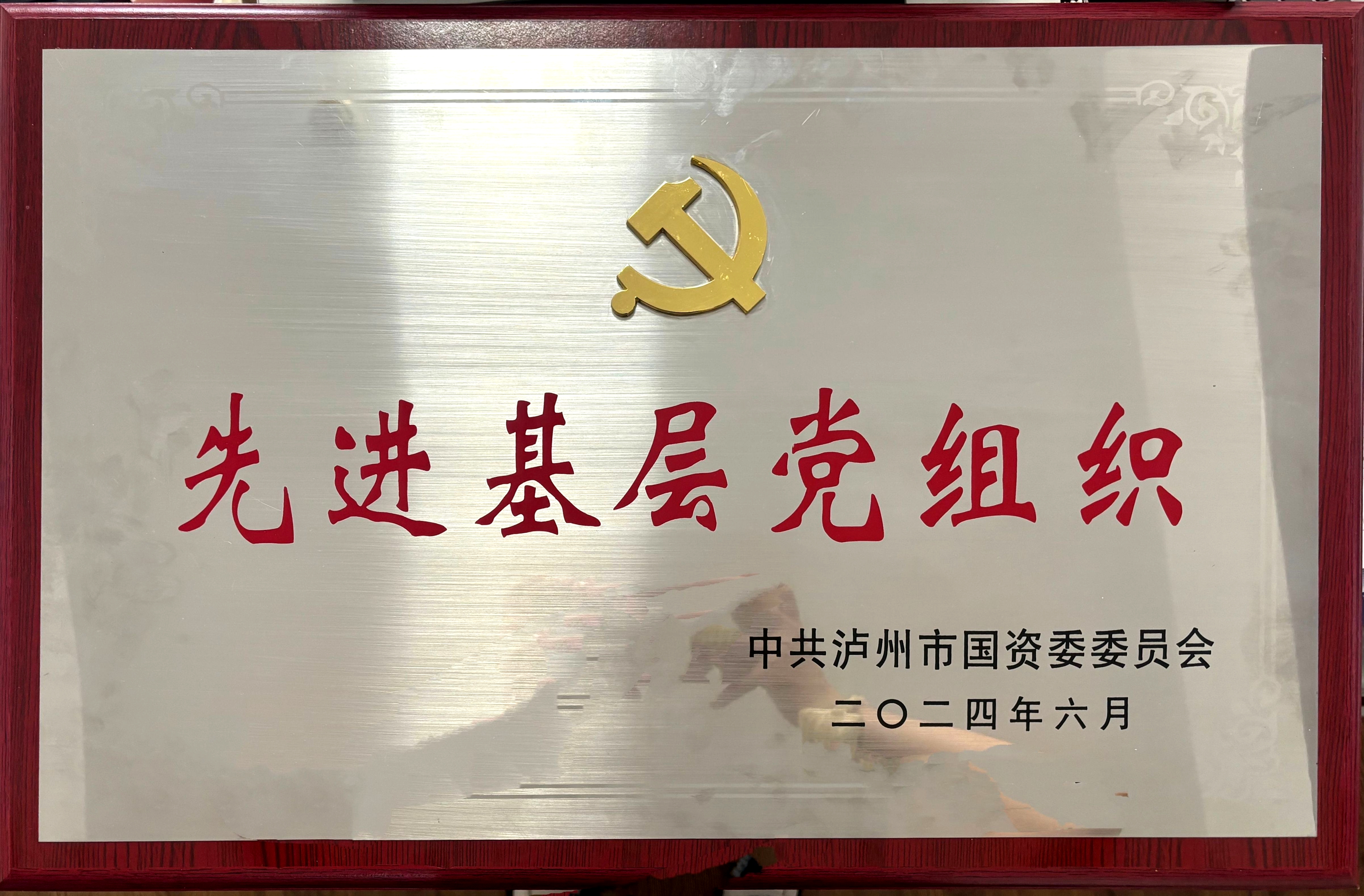 喜報(bào)！醫(yī)療投資公司黨支部獲評市國資系統(tǒng)先進(jìn)基層黨組織